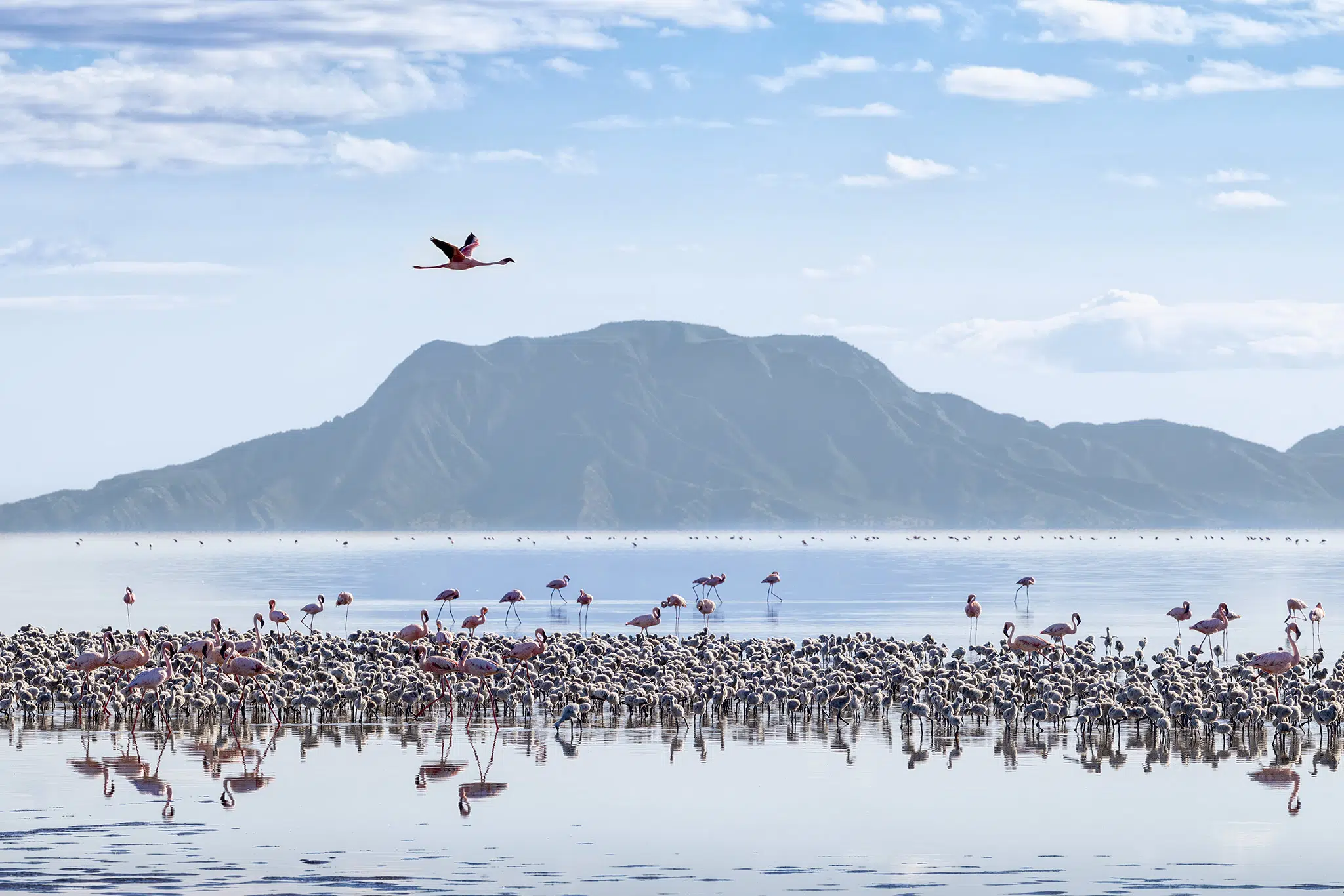Crater Highlands to Lake Natron