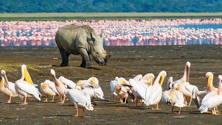 Lake Manyara