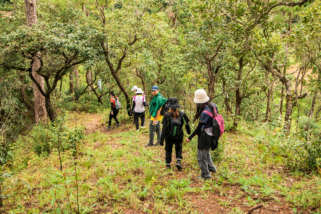 Hikes around Arusha