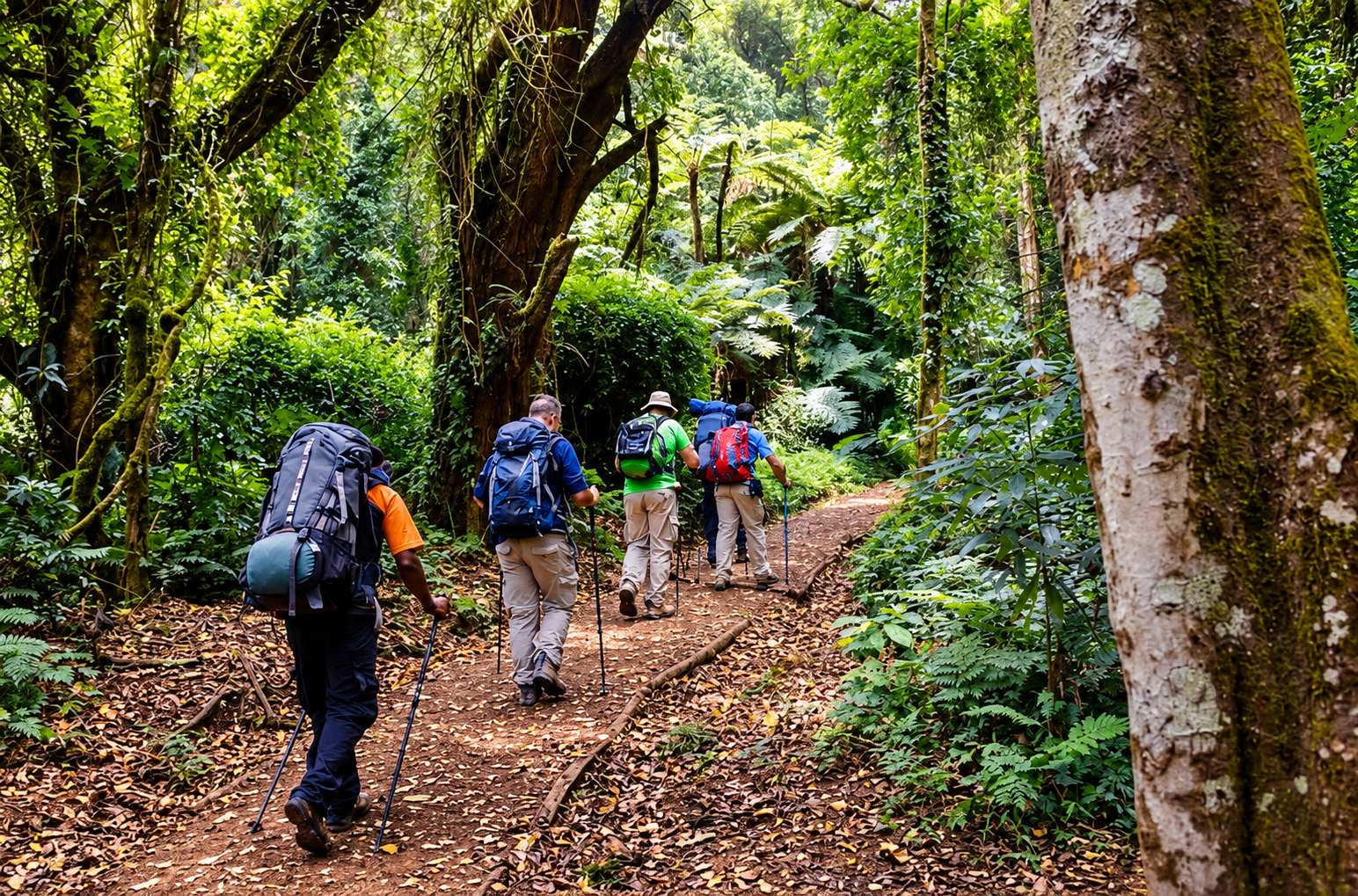 6-Day Lemosho Route