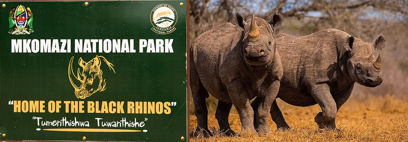 Mkomazi National Park
